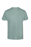 Camiseta Manga Corta Sage 613