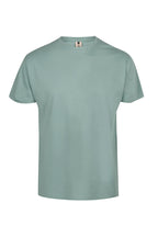 Camiseta Manga Corta Sage 613